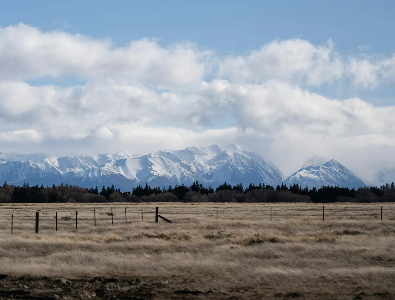 Montana 20-Year-Old Threatens Abortion Provider with Gun, Josh Hawley Creates Abortion Pill 'Hotline': March 23 News Roundup